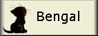 Bengal's Page
